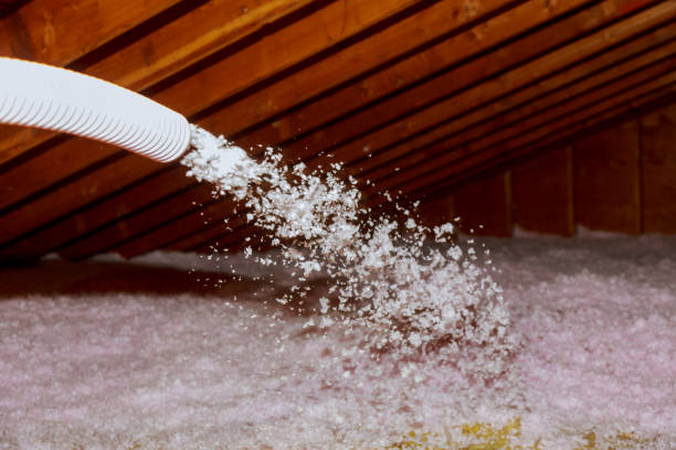 Best Attic Insulation Installation  in Shamokin, PA