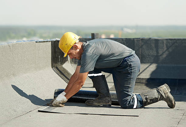 Best Insulation Removal  in Shamokin, PA