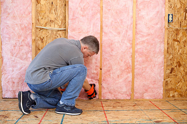 Best Insulation Contractors for Homes  in Shamokin, PA