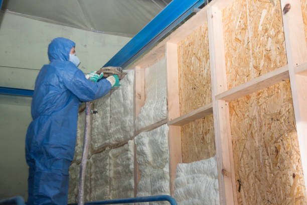 Best Insulation Replacement Services  in Shamokin, PA