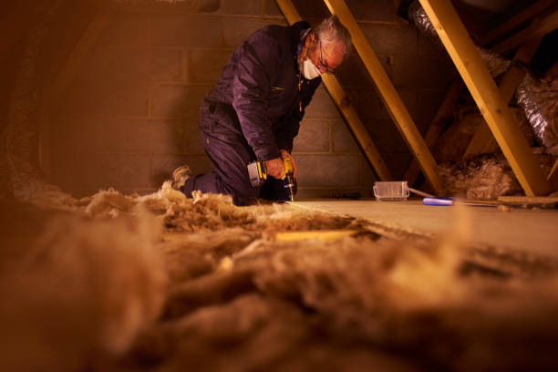 Best Insulation for New Construction  in Shamokin, PA