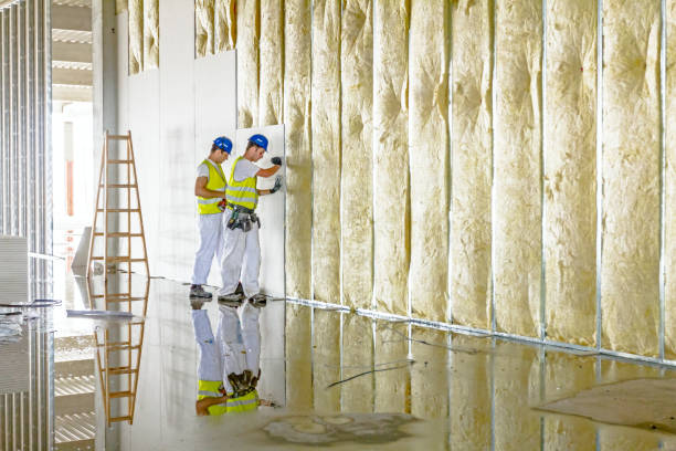 Best Crawl Space Insulation  in Shamokin, PA